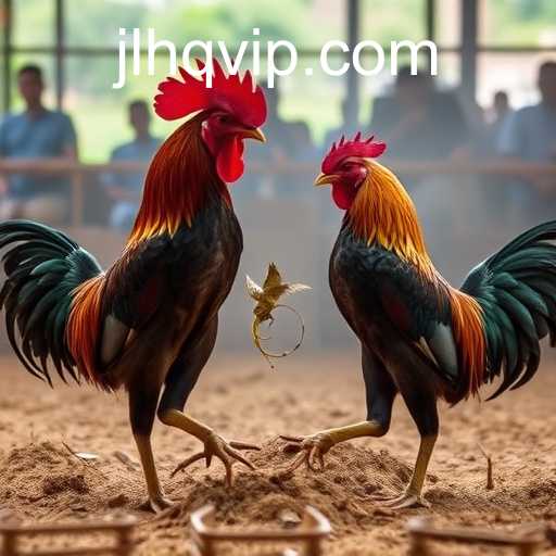 The Rise and Impact of Online Sabong in Modern Gaming